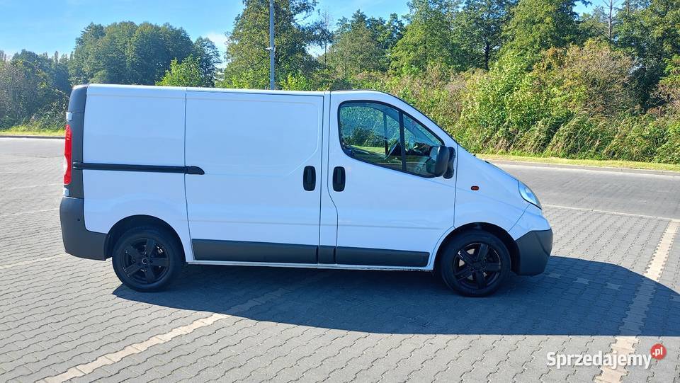 Opel Vivaro 2009 Lipno