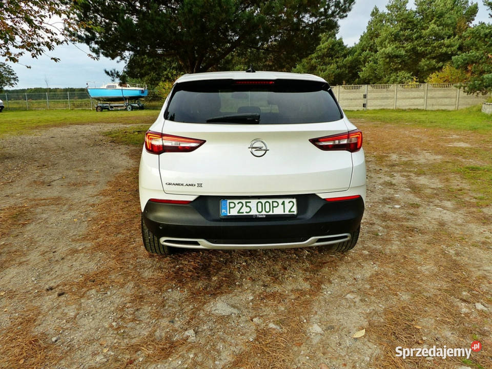 Opel Grandland X 15 gniazdo AUX Motoryzacja wielkopolskie