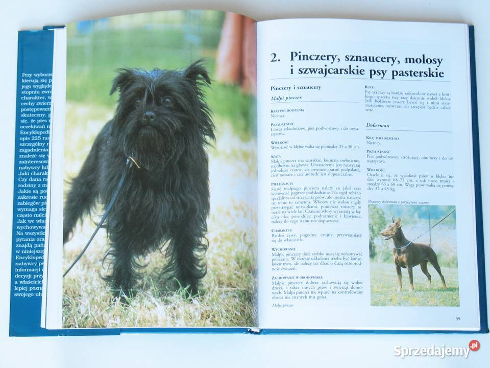 Encyklopedia Psów Ester J J VerhoefVerhallen Kraków sprzedam