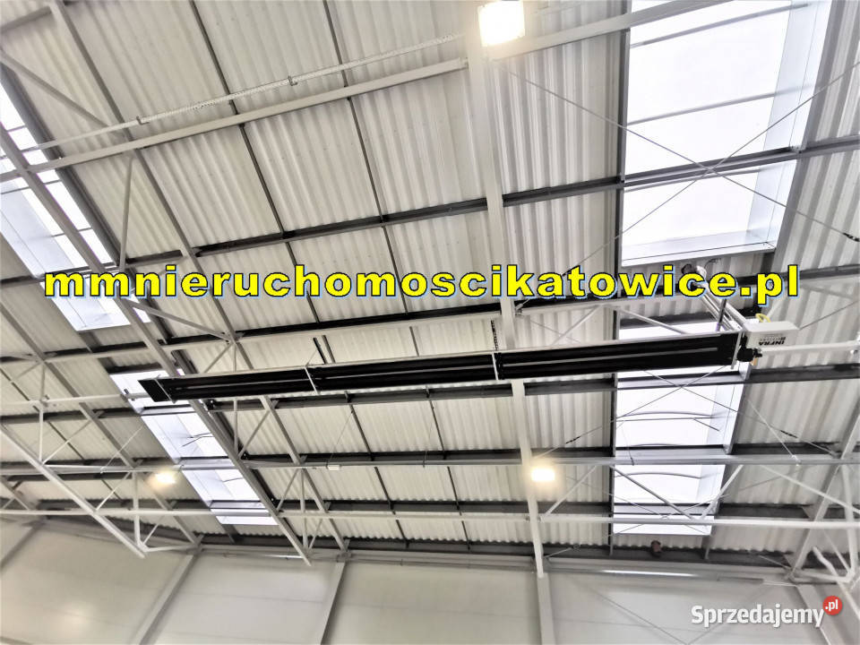 Hala wolnostojąca do wynajęcia Katowice A4 biura
