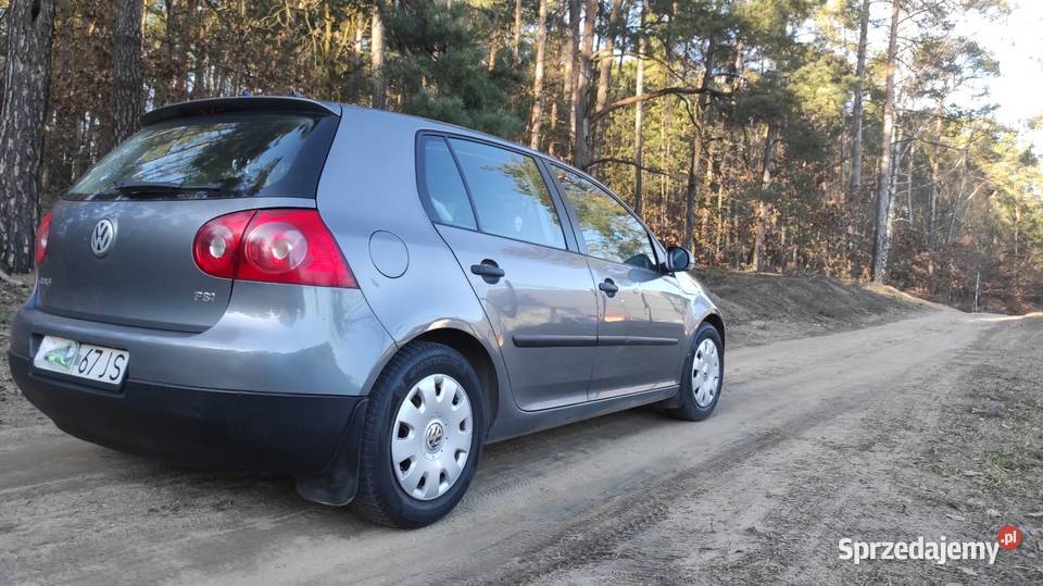 Volkswagen Golf 2004 14 fsi garażowany Motoryzacja