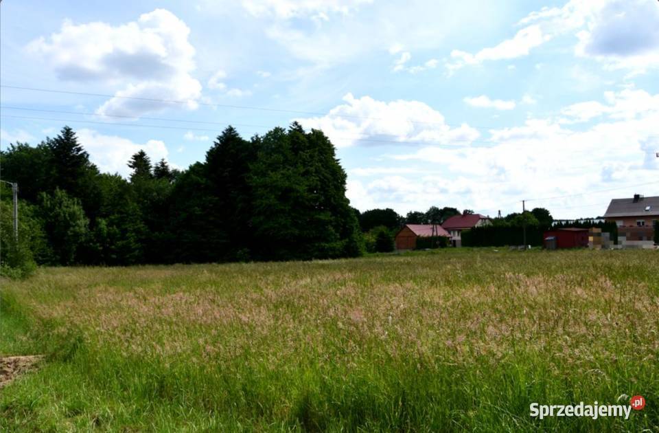 Działka budowlana 42a w Dylągówce Dylągówka