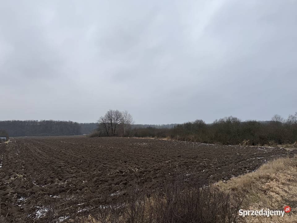 Syndyk sprzeda 12 udziału w prawie własności
