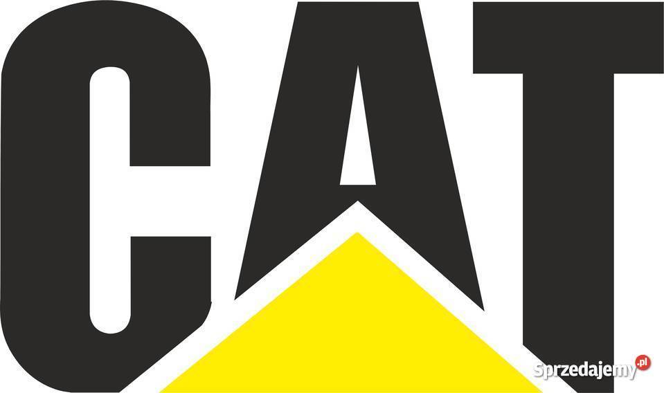 naklejki cat Jeżewo