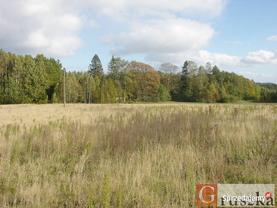 Działka w Szemudzkiej Hucie 149 M2 Nieruchomości pomorskie Szemudzka Huta sprzedam
