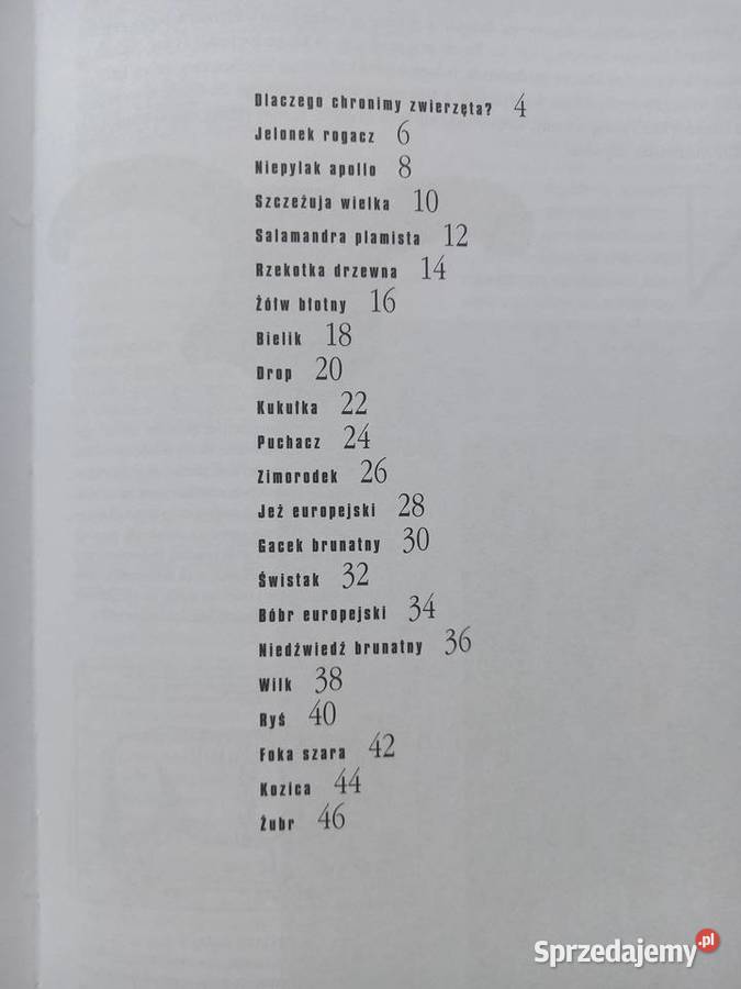 Edukacja Przyroda Zwierzęta chronione w Polsce Kraków