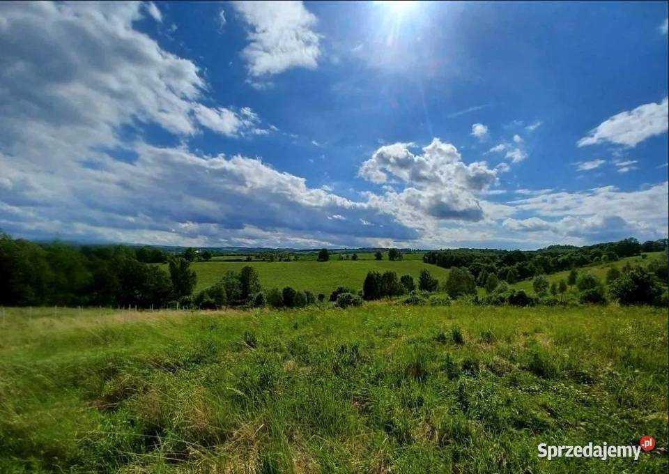 Działka górach Pławna Dolna