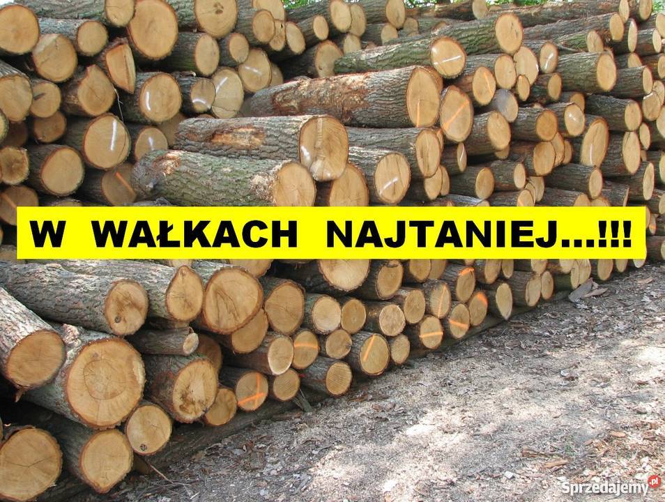 Drewno opałowe cena lasy państwowe