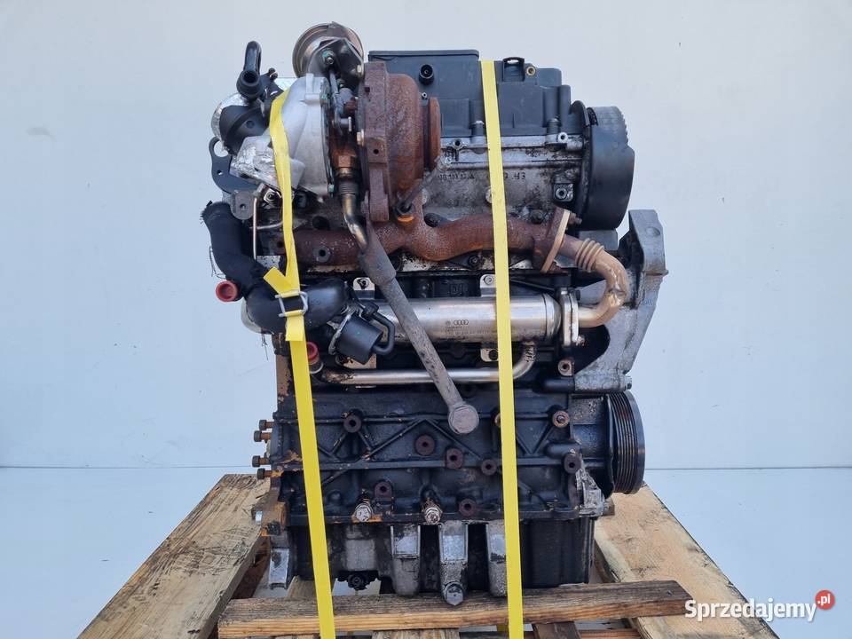 SILNIK KOMPLET Seat Altea 20 TDI 170 164 BMN osobowe Rudka