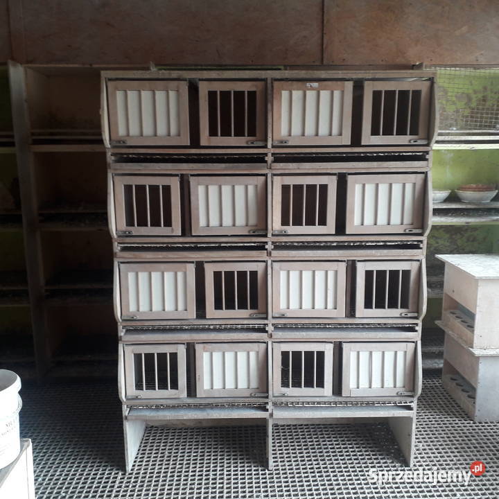 Regały z celami gniazdowymi import z Niemiec Zwierzęta Karpacz