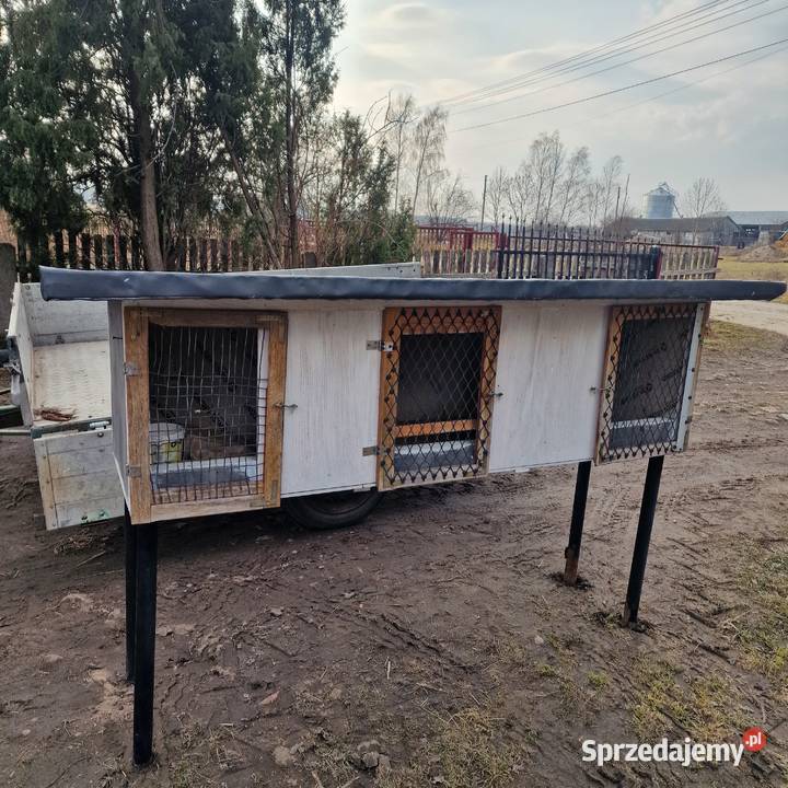 Klatka na króliki zające Dzierzby Szlacheckie