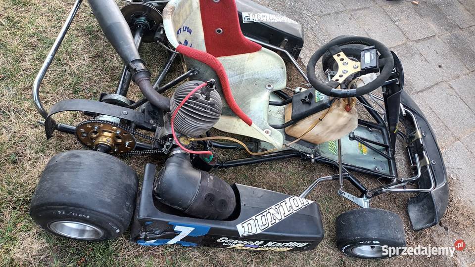 Gokart seniora z silnikiem Rotax sprzedam