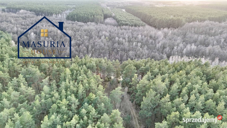 Działka w lesie polana Łapinóż