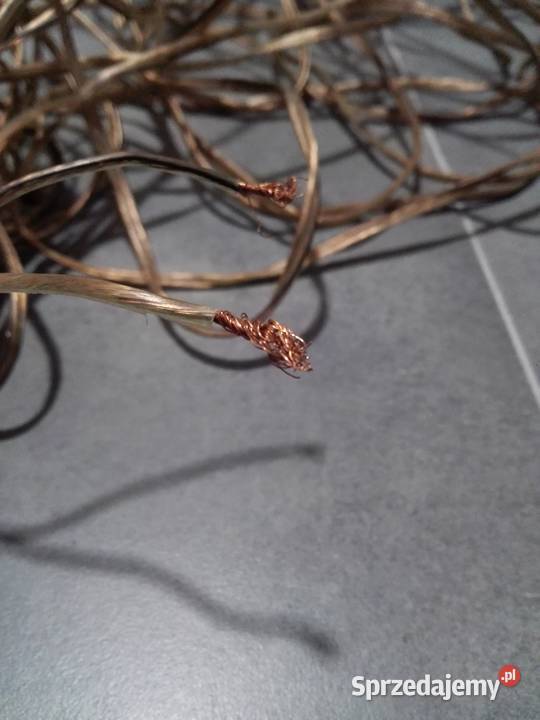 Kabel miedziany do głośników zestaw dwóch kabli Części i akcesoria