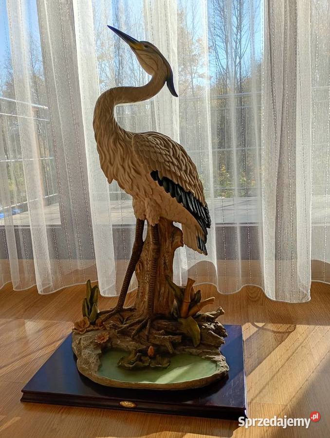 C Z A P L A duża żywa Ustroń