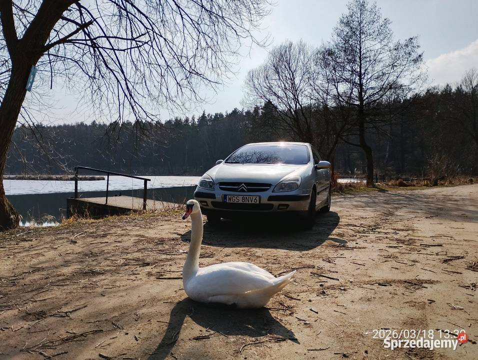 Citroen C5 20 salon polska ASR (kontrola trakcji) Gostynin