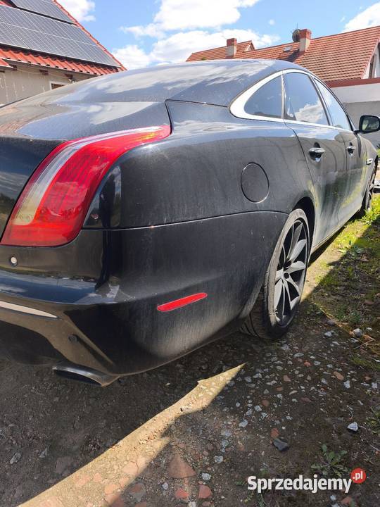 Jaguar XJ model 351 5 litrów w benzynie Lubin