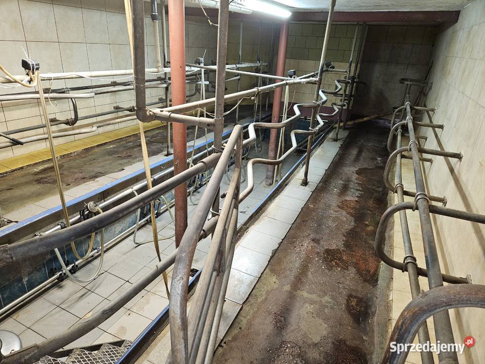 Hala udojowa rybia ość 2x5 2x6 Polanes Dziecinne sprzedam