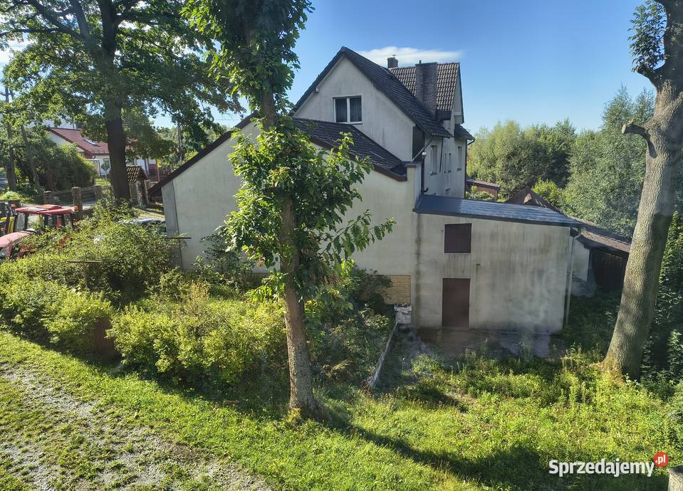 Mieszkanie w PRZYGÓRZU u stóp Gór Sowich Przygórze