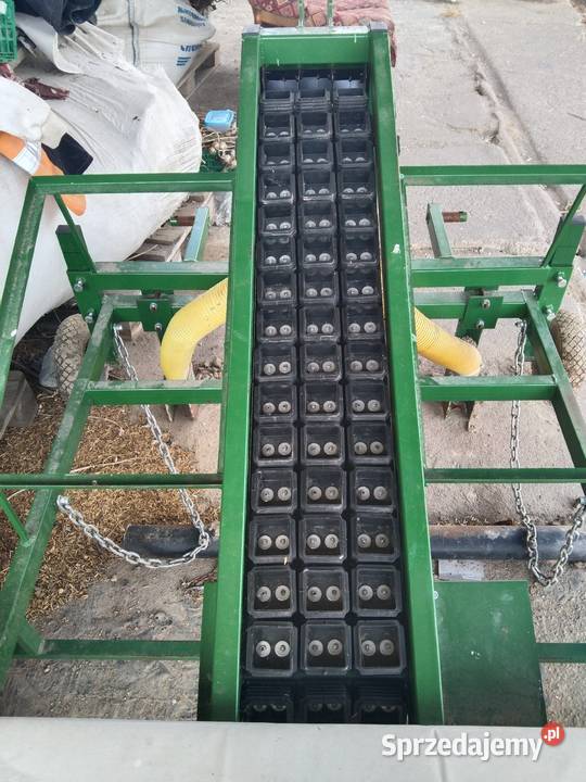 sadzarka do czosnku Myślibórz