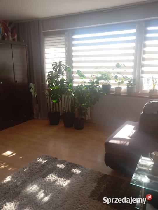 Sprzedam m4 Kleszczele