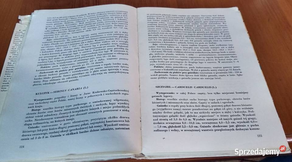 Gniazda naszych ptaków PTAKI Jerzy Gotzman Gdańsk