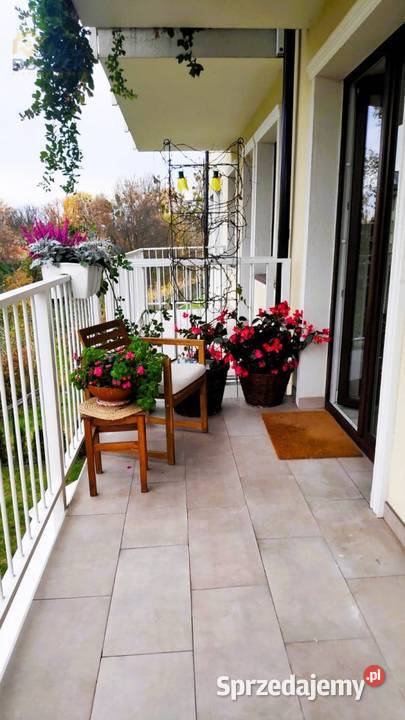 Sprzedam 2pokojowe mieszkanie o pow 4717 m2 w Sprzedaż Pass