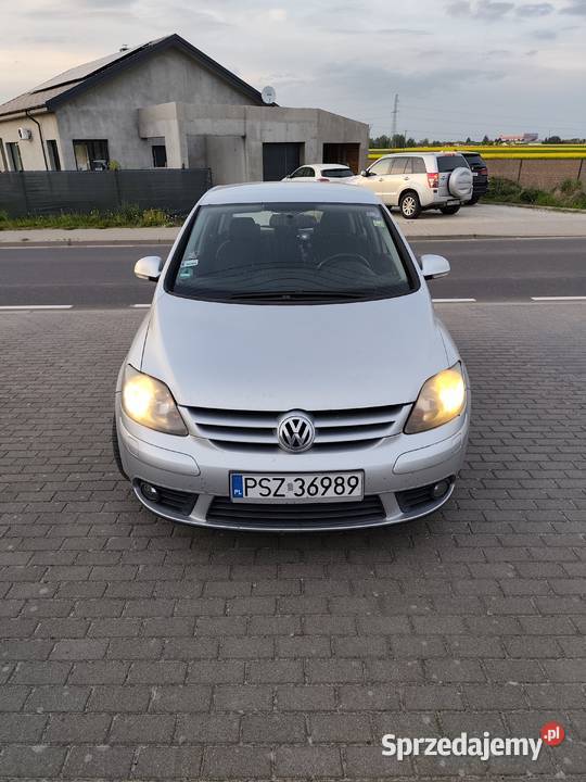 Sprzedam lakier metallic wielkopolskie Nowa Wieś sprzedam