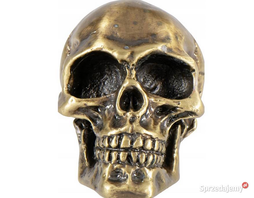 CZASZKA CZACHA NA BŁOTNIK MOTOCYKLA Z METALU śląskie Sosnowiec