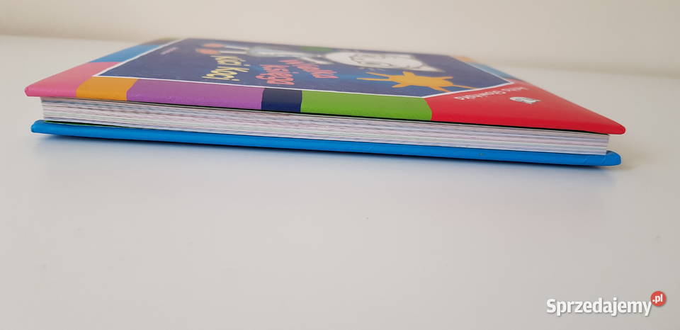 Wielka księga Kici Koci mazowieckie Warszawa