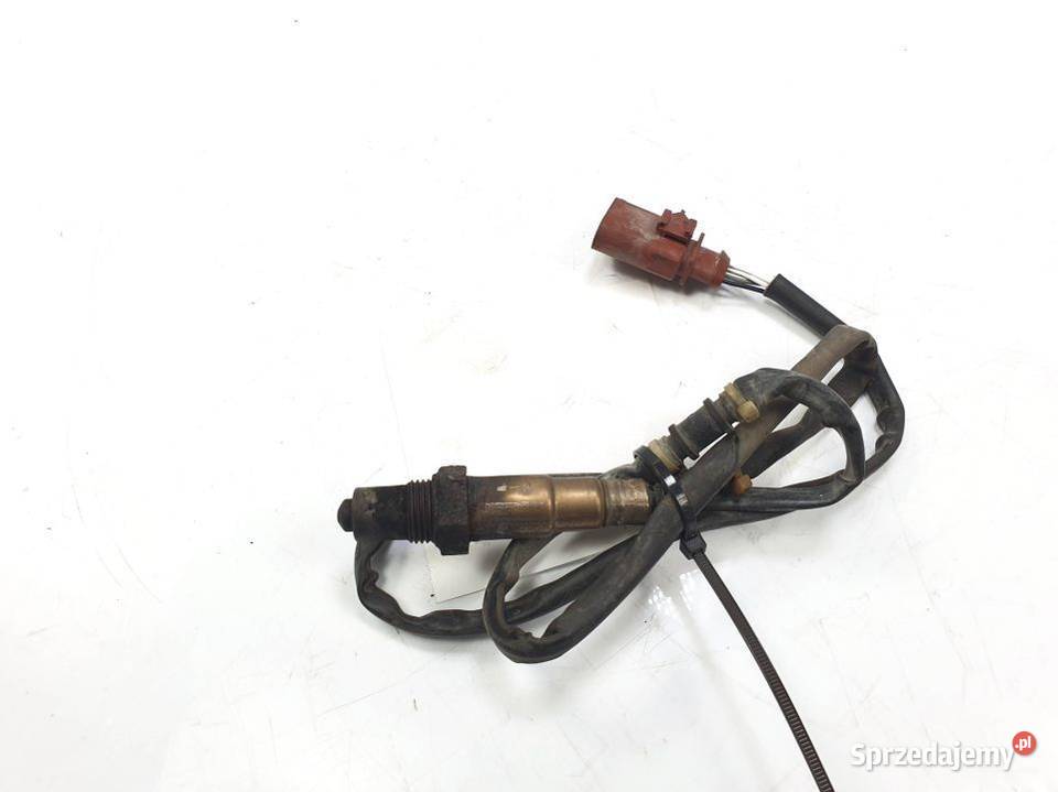 SONDA VOLKSWAGEN PASSAT B6 06F906262AB sprzedam
