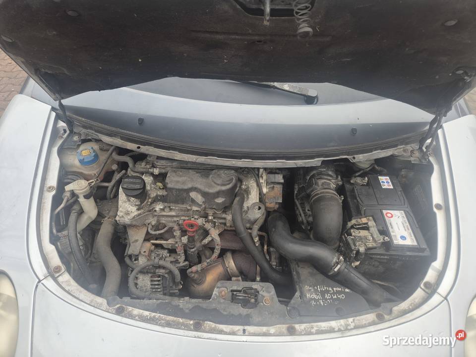 Smart ForFour 184 15d 68 Zadbany Panorama Nie Bujaków