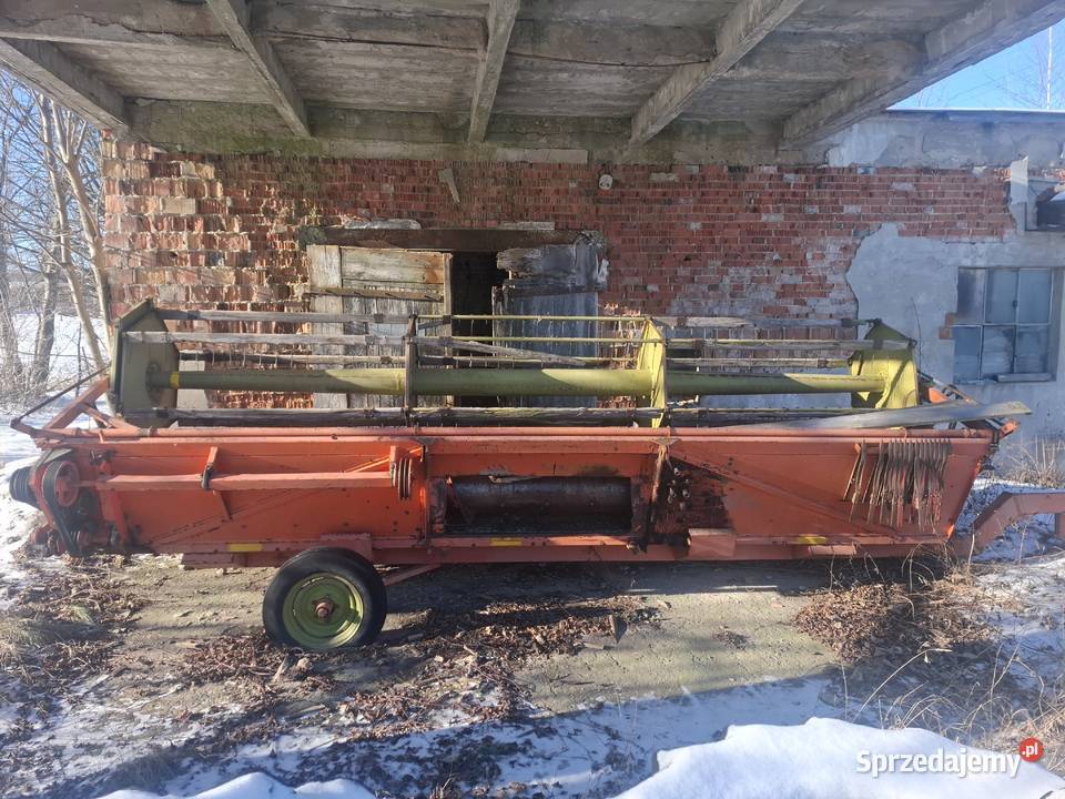 HEDER MF MASSEY DRONNINGBORG Frombork