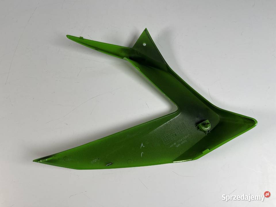 KAWASAKI ZX6R 636 1316 Owiewka Wypełnienie L Łobżenica