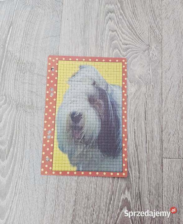 Duże karteczki a5 do segregatora Warszawa sprzedam