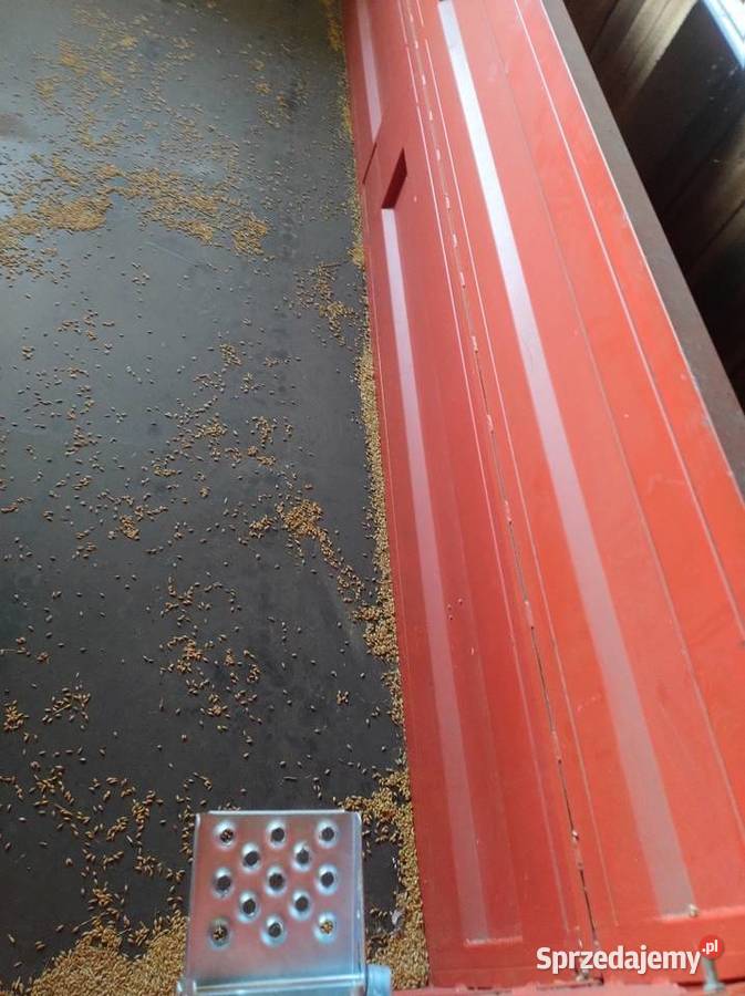 Przyczepa Autosan D35 6t nieuszkodzony podkarpackie Stary Lubliniec
