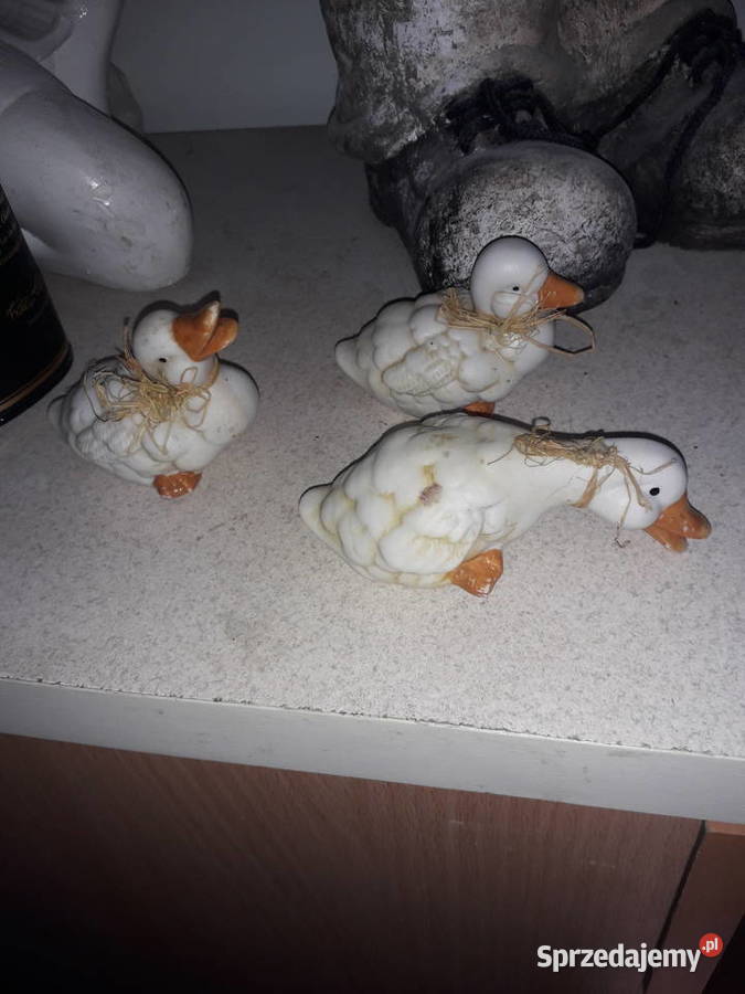 Figurki różne rodzaje Numizmatyka Warszawa