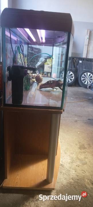 Akwarium z szafką 300 l i akcesoria Tczew