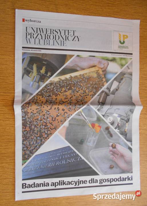 Uniwersytet Przyrodniczy w Lublinie Gazeta miękka Parczew sprzedam