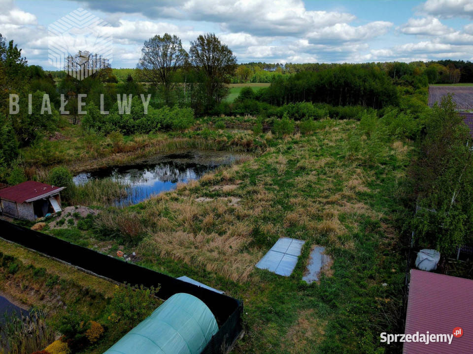 Sprzedaż gruntu 3019m2 Nowe Borsuki Sprzedaż Sprzedaż mazowieckie sprzedam