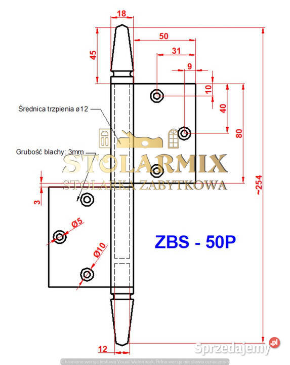 Zawias do starych drzwi bezprzylgowych ZBS 50P kujawsko-pomorskie Paterek sprzedam