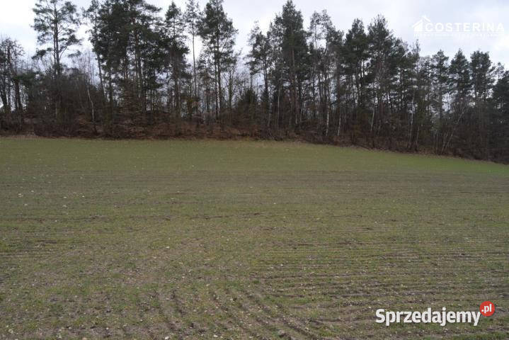 Ogłoszenie grunt Stare Polaszki 5000m2 kanalizacja Chrztowo