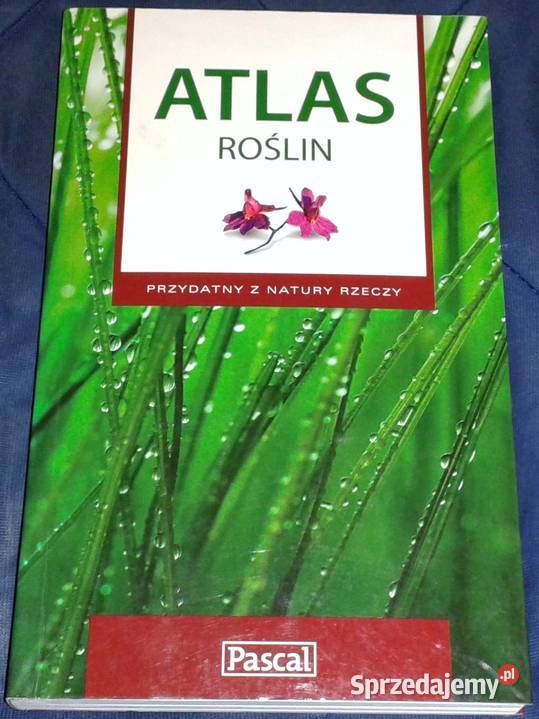 Atlas roślin Pascal Renata KrzyściakKosińska M Chełm