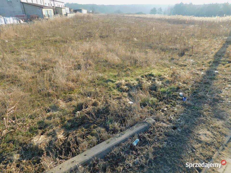 Syndyk sprzeda Mogielnica dz 1657 i 1746 3792m2 mazowieckie sprzedam