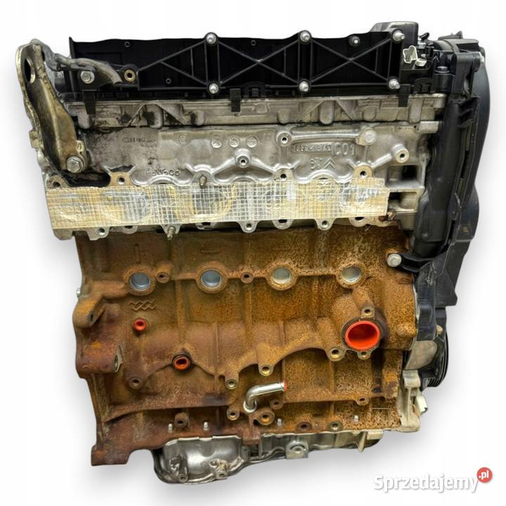 SILNIK TXDB Ford Focus III MK3 C C II 20 TDCI Chełm