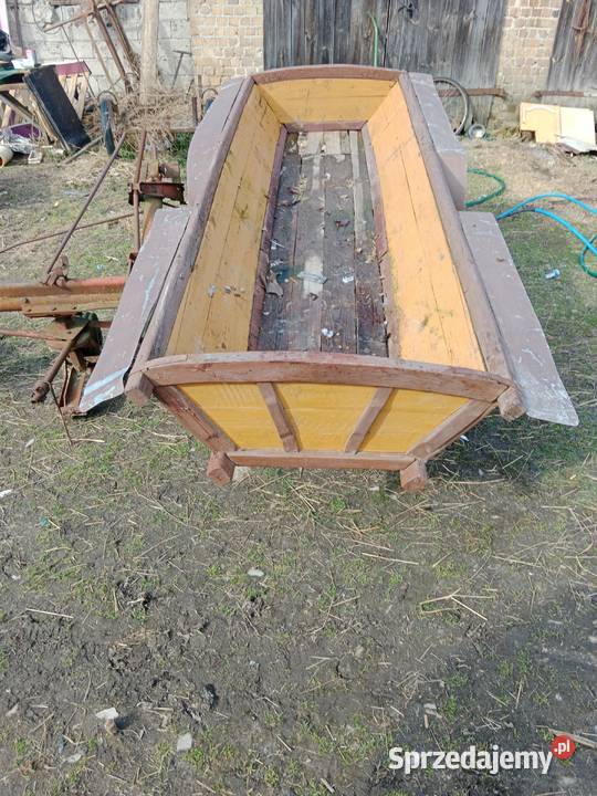 Wasąng kony Krasnystaw