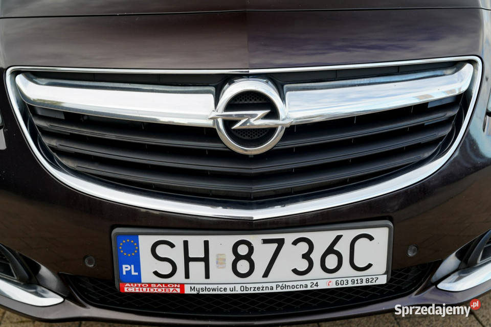 Opel Insignia BIXENON LED nawi kamera parktronik Rok produkcji 2017 Insignia Otmuchów