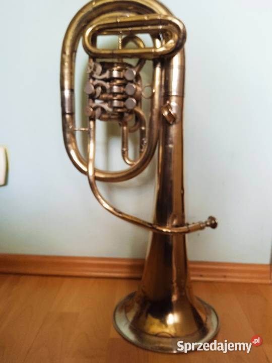 Zabytkowa trąba Antyki, Sztuka, Kolekcje sprzedam