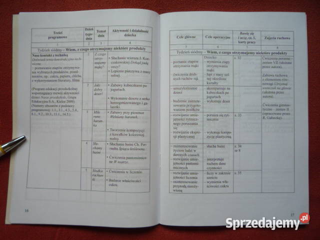 6latki Bawię się i uczę Przewodnik metodycz Szczecin sprzedam