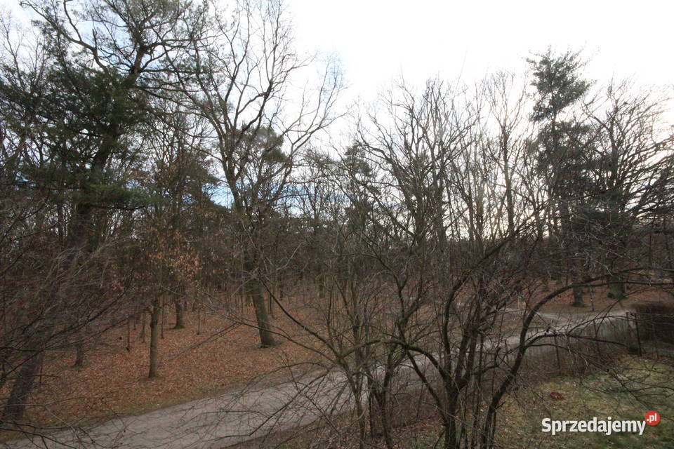 1pok 24met Parku Prackiego TARAS REMONCIE